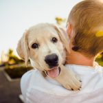 Dog Poop Pickup in Walled Lake